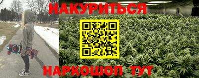 индика Краснодар